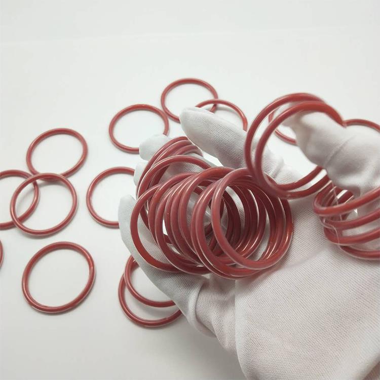 encapsulated o ring.jpg